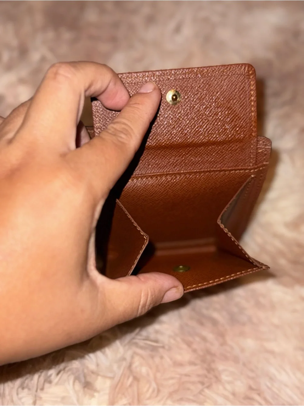 Louis Vuitton authentic louis